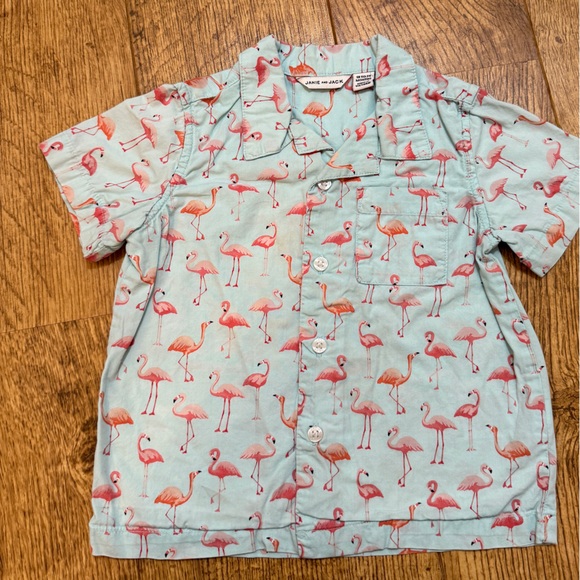 2 Janie & Jack Button Down Shirts Flamingos Palm Tree Boys Poplin Shirts 18-24 - Picture 5 of 6